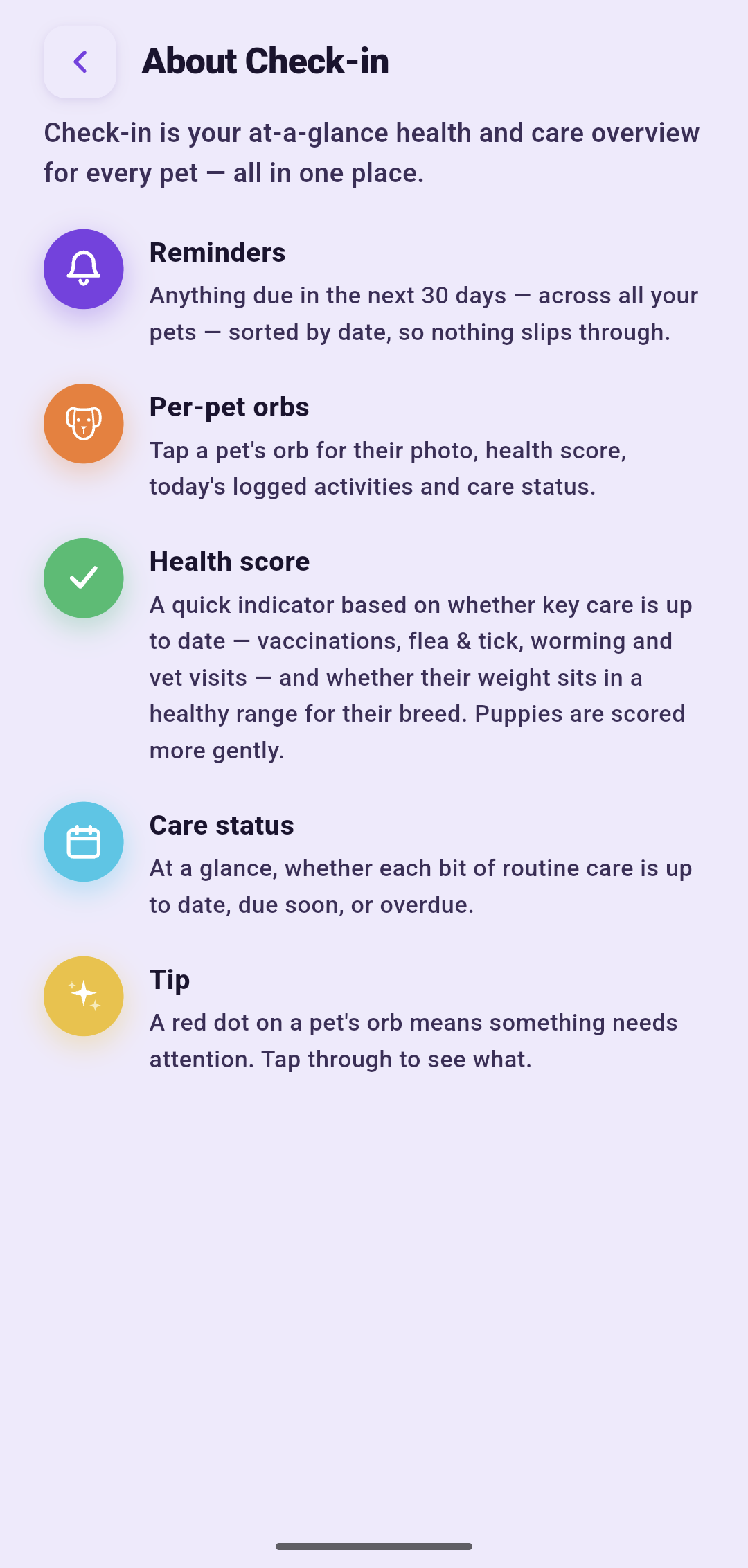 DogDayz — Breed & age care guide