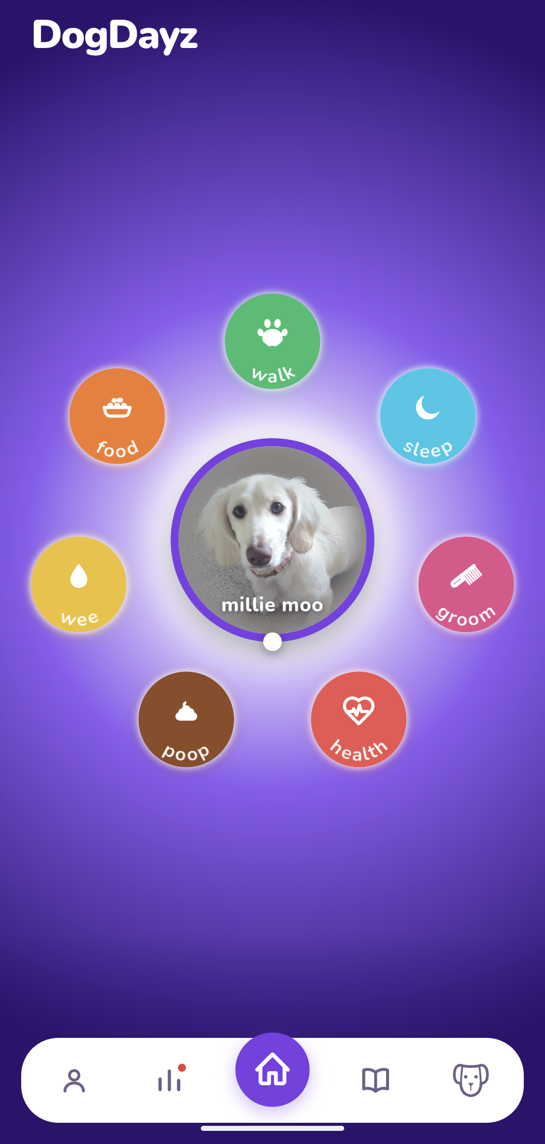 DogDayz — Home & activity orbs